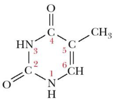<p>Name that structure.</p>