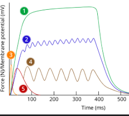 <p>1</p>