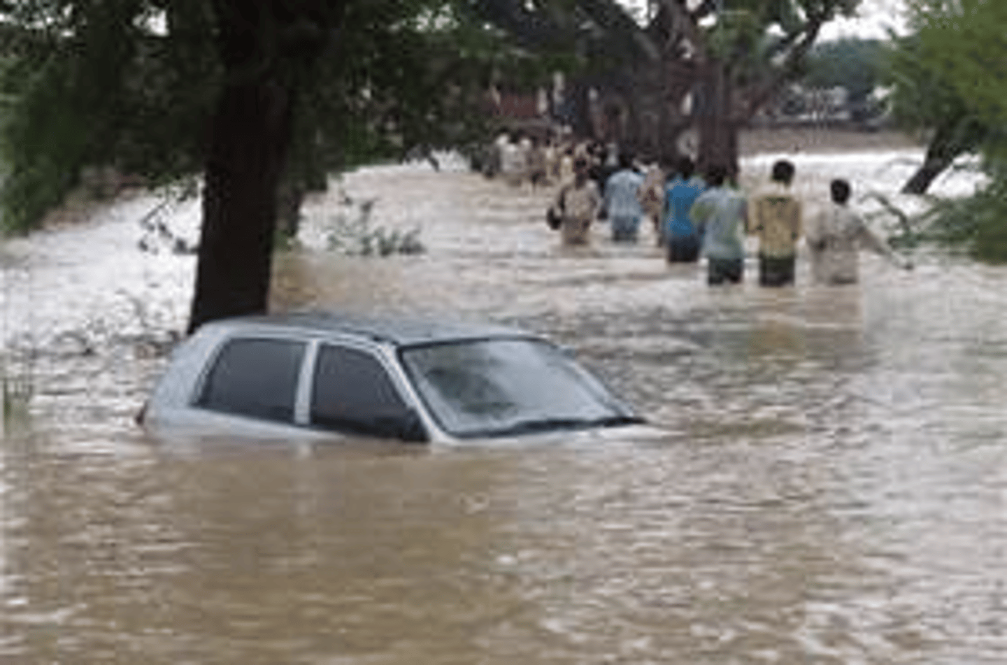 <p>flood, flooding</p>
