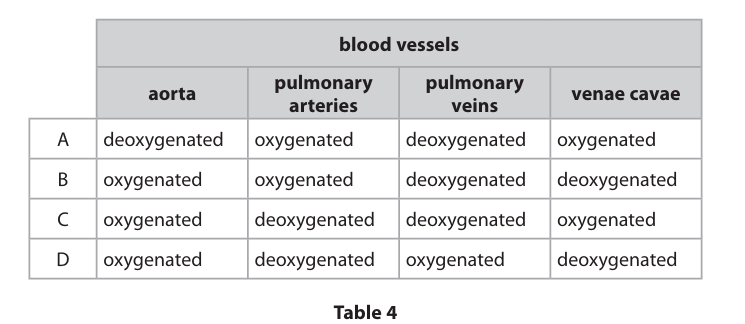 <p>Identify which row of Table 4, A, B, C or D, correctly describes the type of blood present in each blood vessel. (1)</p><p>-a</p><p>-b</p><p>-c</p><p>-d</p>