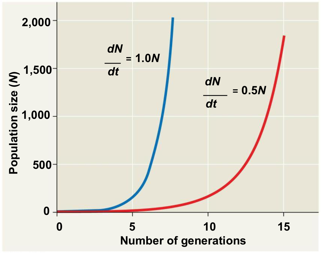 <p>Examples of species whose population size grows exponentially (increasing at a constant rate)?</p>