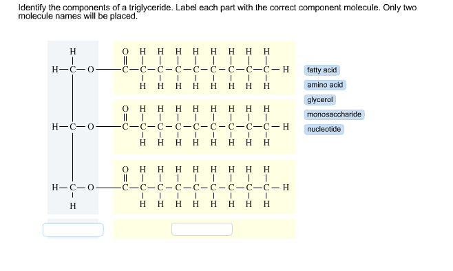 energy storage and insulation
consist of 3 fatty acids (long carbon chains that are like a monomer) and glycerol (holds fatty acid chains together)
3 tails