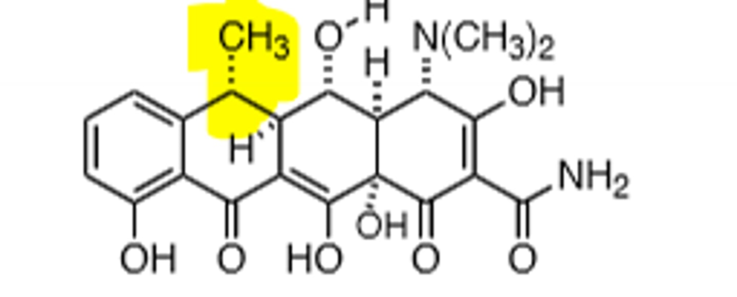 <p>Synthesized from oxytetracycline, lacks a C-6 hydroxyl group, and does not undergo dehydration, fewer GI symptoms, 18-22 hour half life, 90-100% oral bioavailability. Chelating agent, will bind to metal ions, which causes the drug to not get absorbed in the GI tract as well, avoid drinking milk to prevent 20% absorption decrease. broad-spectrum.</p>