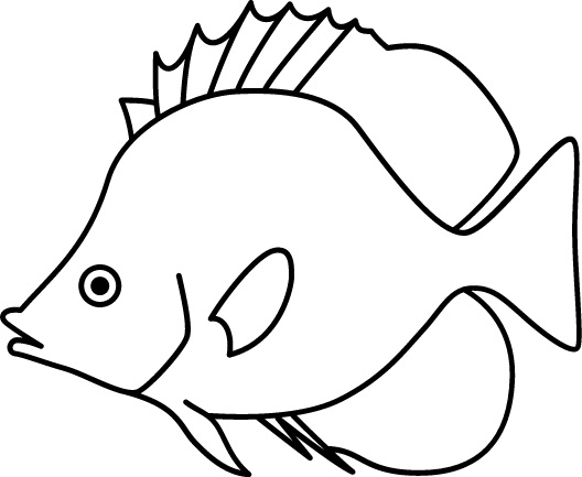 <p>Elongated nose<br>Round body<br>Eye-stripe<br>Size: 15 cm</p>