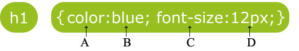 \
Look at the image. Both A & B are