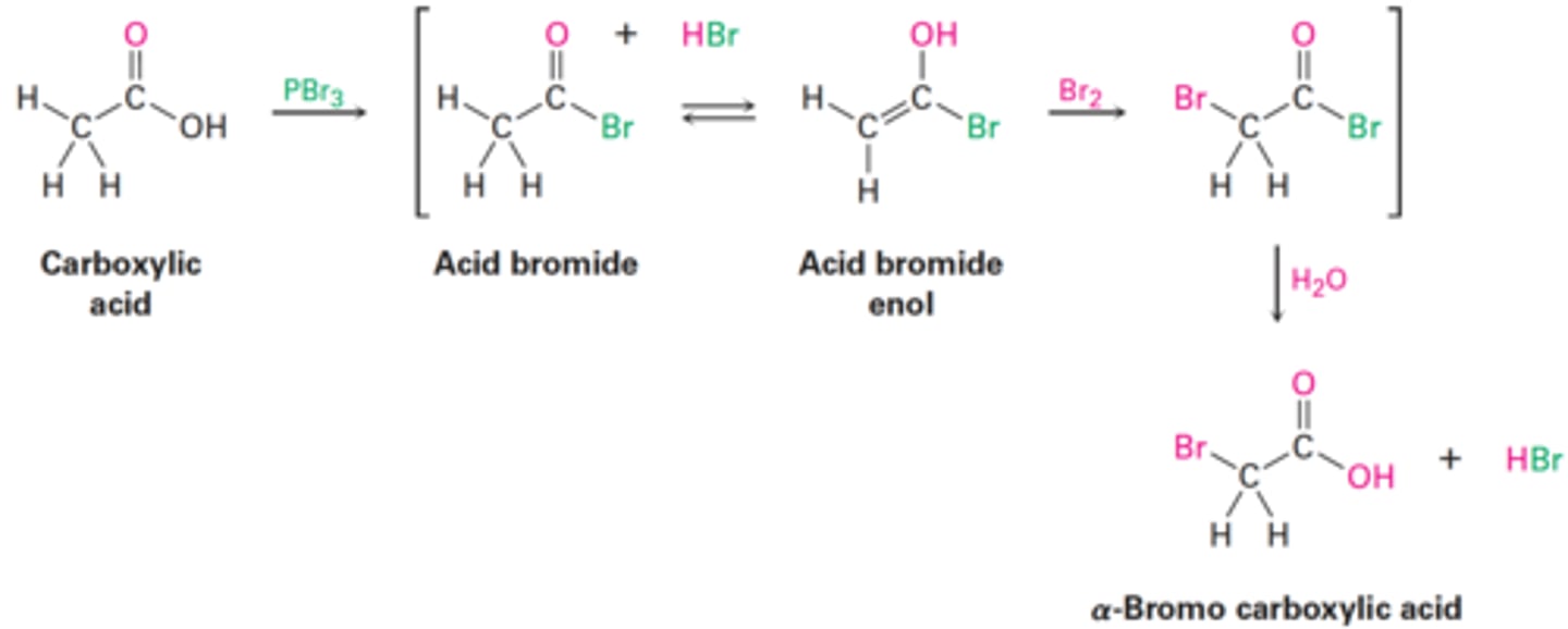<p>1. Reaction of the carboxylic acid with PBr₃ to form an acid bromide + HBr.</p><p>2. HBr catalyzes Enolization of the acid bromide, and the resultant enol reacts with Br₂ in an α-bromo acid bromide.</p><p>3. Addition of water hydrolyzes the acid bromide in a nucleophilic acyl substitution reaction and yields the α-bromo carboxylic acid product.</p>