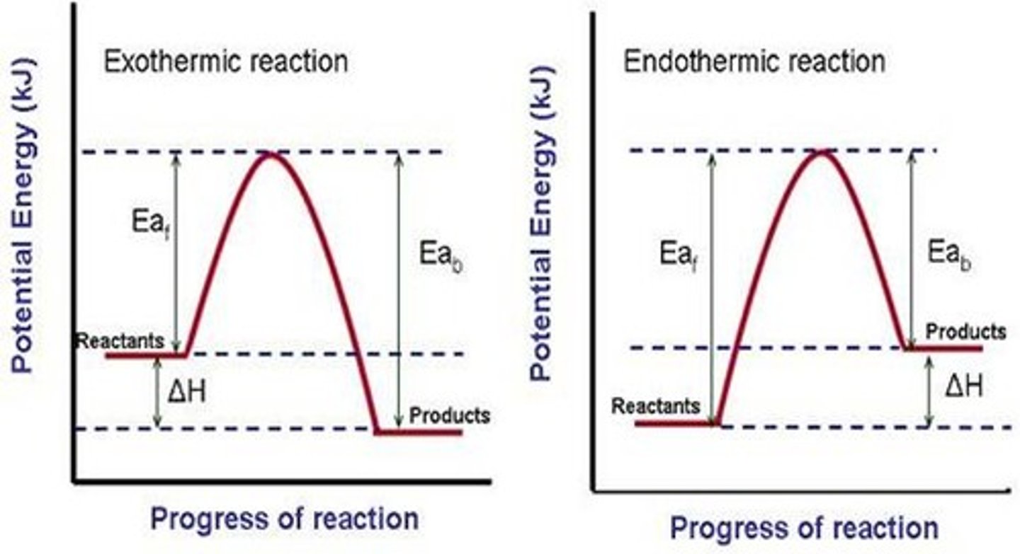 <p>- a diagram that shows the changes in potential energy that takes place during a chemical reaction</p><p>- exothermic reaction, energy is lost (products energy levels lower than reactants); opposite for endothermic</p><p>- catalyst will decrease activation energy ("hump")</p>