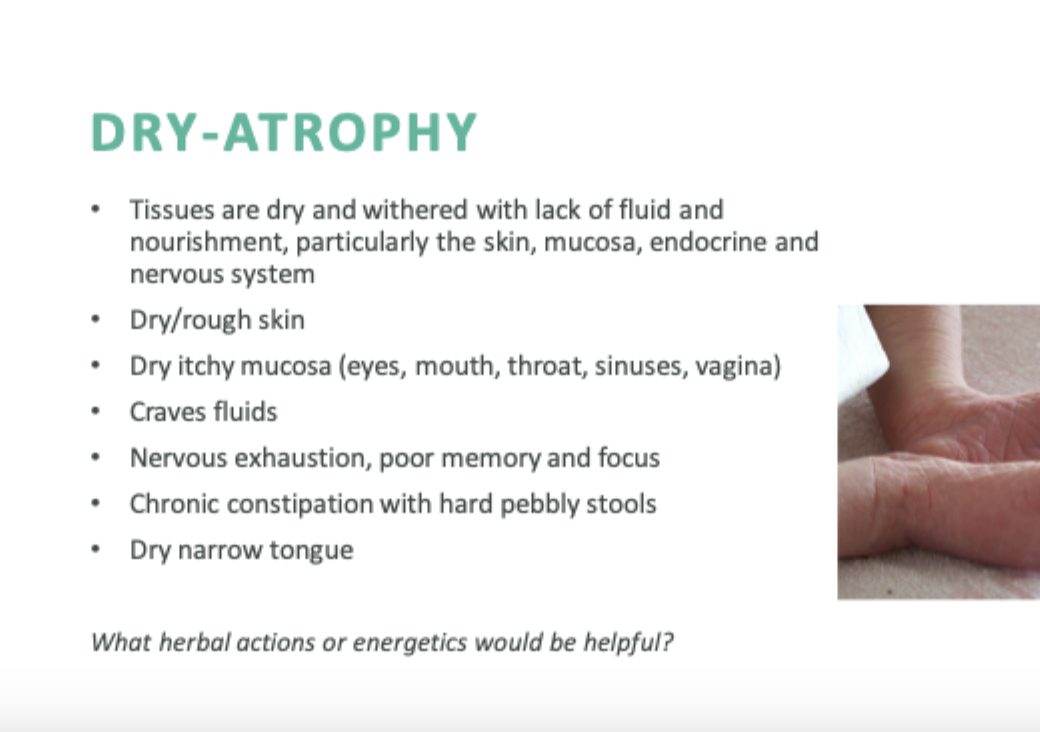 <p>A condition marked by tissue degeneration and dryness, leading to symptoms such as brittle skin, hair loss, and poor fluid retention. This can result in sensations of dryness or hollowness in the body, accompanied by symptoms like thin and frail tissues, weak pulse, and dry mucous membranes. Tissues are dry and withered with lack of fluid and nourishment particulary the skin, mucosa, endocrine and nervous system. Dry/rough skin. Nervous exhaustion, chronic constipation, dry narrow tongue. Herbal actions that may be beneficial include moistening, nourishing, and rejuvenating properties, found in herbs like mullein, slippery elm, and licorice. </p>