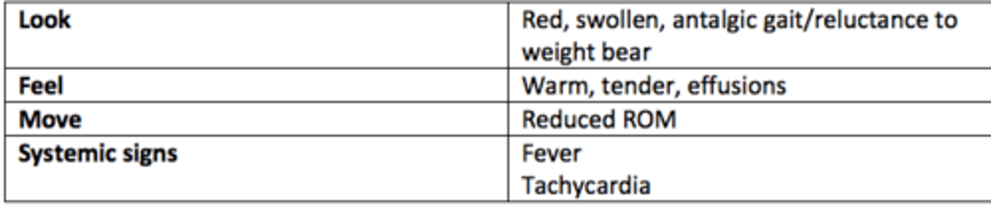 <p>Acute onset</p><p>Monoarticular (knee = adults, hip in children)</p><p>Pain, swollen, red, warm joint</p><p>Systemic symptoms = fever, rigors, myalgia and malaise </p>