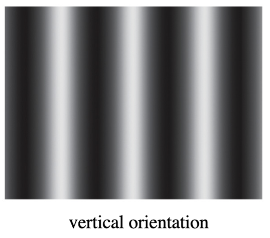 <p>sinewave grating - used to assess spatial vision over a range from very coarse to very fine detail, sinusoidal change in intensity across pattern</p>