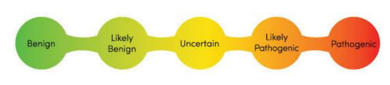 <p>refers to a variation in genetics</p><ul><li><p>ranked on a scale</p></li></ul><p></p>