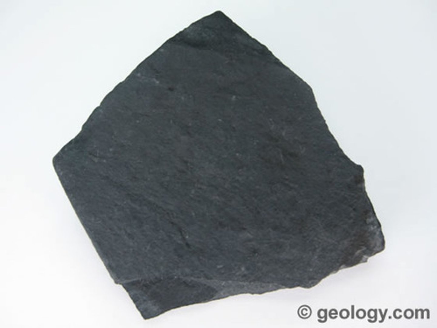 <p>- Sedimentary rock<br>- Clastic<br>- Clay-sized particles<br>- Well-sorted<br>- Low energy environment</p>