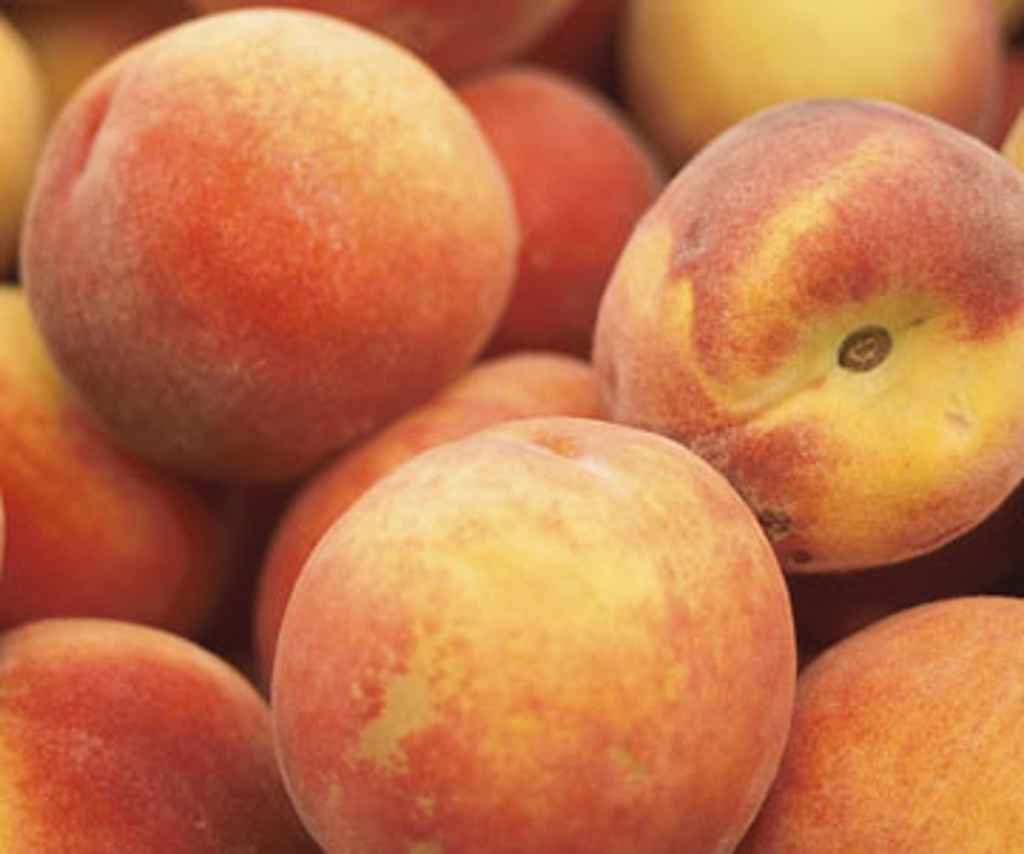 <p>peach</p>