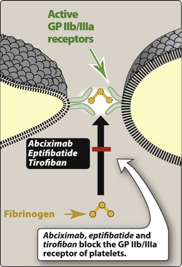 <p><strong>MOA</strong>: Target platelet IIb/IIIa receptor complex - final pathway for platelet aggregation</p><p>-given <strong>IV</strong></p><p>-adverse effect: Bleeding</p>