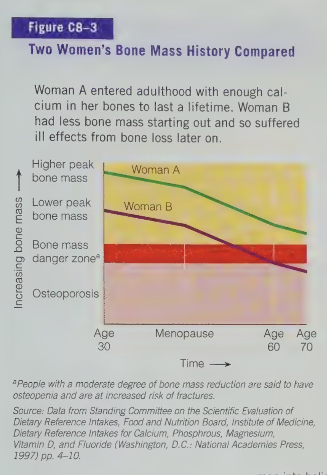 <ul><li><p>high calcium intakes are recommended early in life</p></li><li><p>by about twenties - early thirties, the skeleton has reached peak bone mass and is no longer adding significant bone density.</p></li><li><p>if a person has a calcium-poor diet during their growing years, their peak bone mass will not be maximized</p></li><li><p>a person with a lower peak bone mass is more likely to develop fragile bones, adult bone loss and osteoporosis</p></li></ul><p></p>
