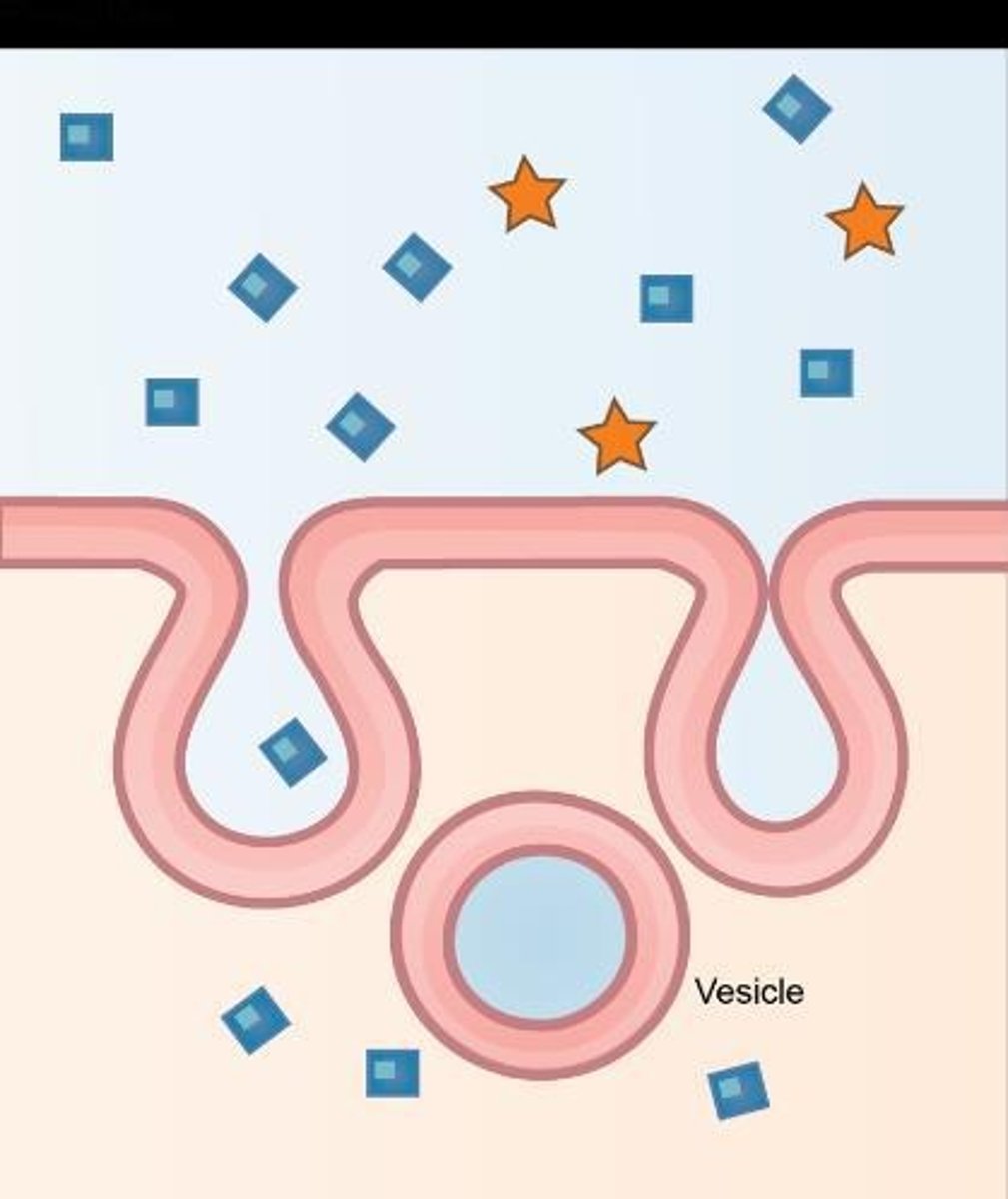 <p>Targets specific substances via receptor binding.</p>