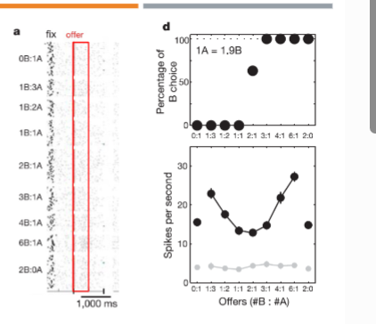 <p>1 drop A = 1.9 drop B > map data and find indifference point</p><p></p><p>B chosen for 3,4,6:1</p><p>A chosen for 1:3, 1:2, 1:1</p><p></p><p>activity observed just follow juice deliery is top graph, gray daata is from period before choice options visible</p>