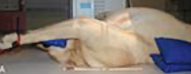 <p>what’s this position?</p>