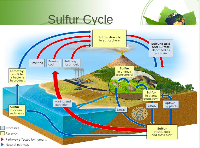 <p>Reservoirs are underground in rocks, minerals, and fossil fuels</p>