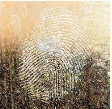 <p>_ or _  <span style="background-color: inherit; line-height: 20.7px; color: windowtext;"><strong><span>prints </span></strong><span>are made when fingers touch a surface after the ridges have been in contact with a colored material such as blood, paint, grease, or ink&nbsp;</span></span><span style="line-height: 20.7px; color: windowtext;"><span>&nbsp;</span></span></p>