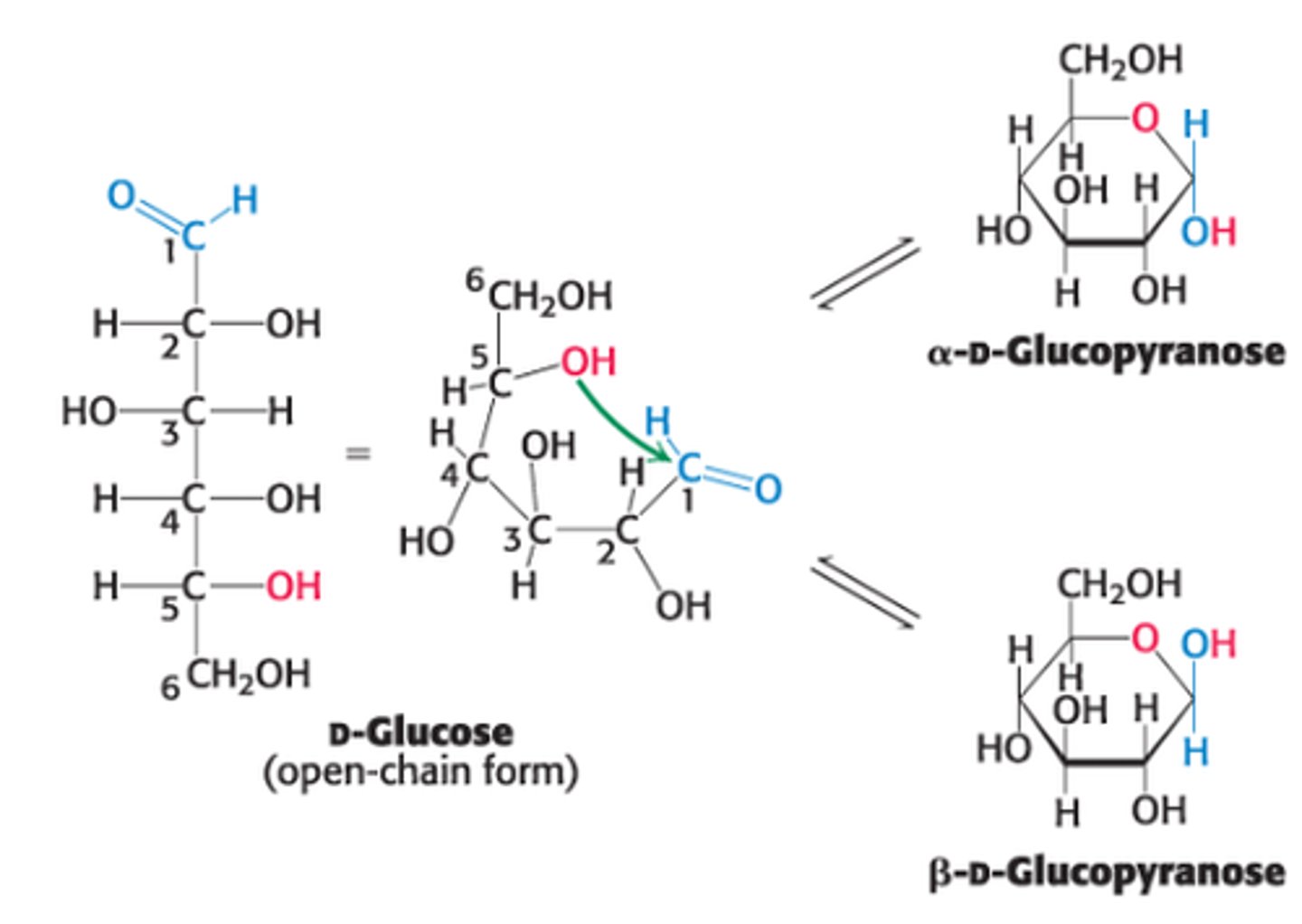 <p>ring that forms when C5 OH group attacks O atom of C1 aldehyde group in the open-chain form of glucose</p>