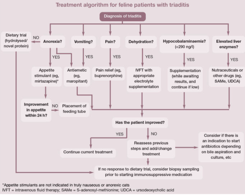 <p>confirmed by histopath of all 3 organs</p><p>often presumptive diagnosis is made based off:</p><p>-chronic GI signs</p><p>-elevated liver enzymes +/- hyperbilirubinemia</p><p>-increased fPLI and/or abnormal pancreas on U/S</p><p>-evidence of CIE (thickened SI layers on U/S, low folate and/or cobalamin)</p>