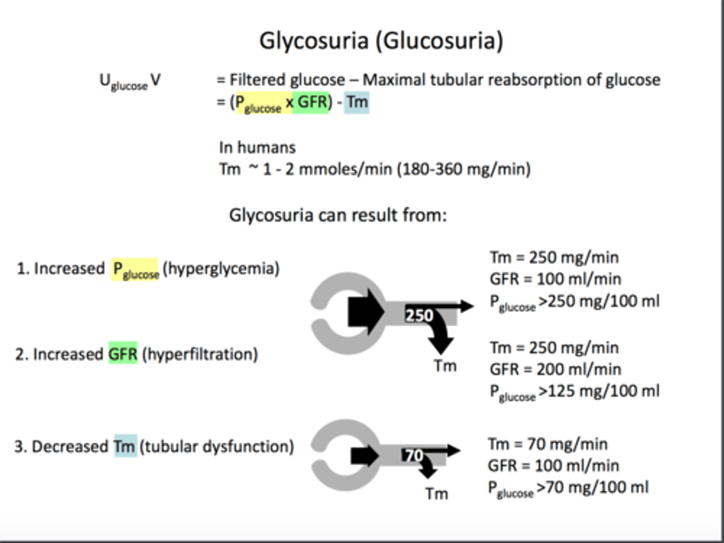 <p>The presence of detectable amounts of glucose in the urine.</p>
