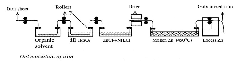 <p>The process of coating a layer of zinc on iron by hot dipping is called as galvanizing.</p><p>1) Iron sheet is <u>passed through organic solvent</u> to remove oil or grease present on it.</p><p>2) Then it is <u>washed with dil.H<sub>2</sub>SO<sub>4</sub></u> (pickling) to remove any rust (oxide layer) present on the surface </p><p>3) Then it is treated with a mixture of aqueous solution of <span style="color: red;">zinc chloride (ZnCl<sub>2</sub>) and ammonium chloride (NH<sub>4</sub>Cl)</span> which acts as flux and then dried.</p><p>4) The treated sheet is dried and <u>dipped in molten zinc at 430-470 ºC</u>.</p><p>5) Excess <u>zinc present on iron sheet is removed by rolling, wiping or passing blast of air.</u></p>