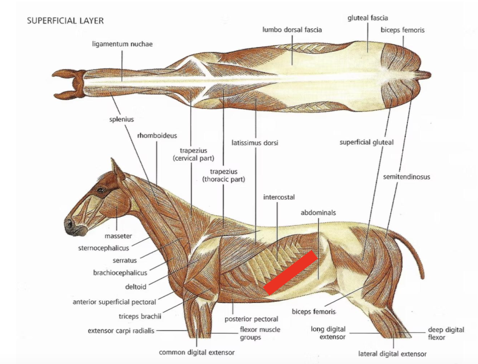 <p>What is this?</p>