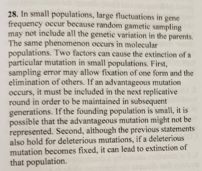 <p>Population size matters because <strong>genetic drift is much stronger in small populations</strong>. When populations are small, random sampling can cause alleles to be lost or fixed <strong>by chance</strong>, regardless of whether they are beneficial or harmful. As a result, <strong>advantageous mutations can disappear simply because they are not passed on</strong>, and <strong>deleterious mutations can become fixed</strong>, sometimes leading to extinction.</p>