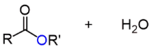 <p>Ester + H2O</p>