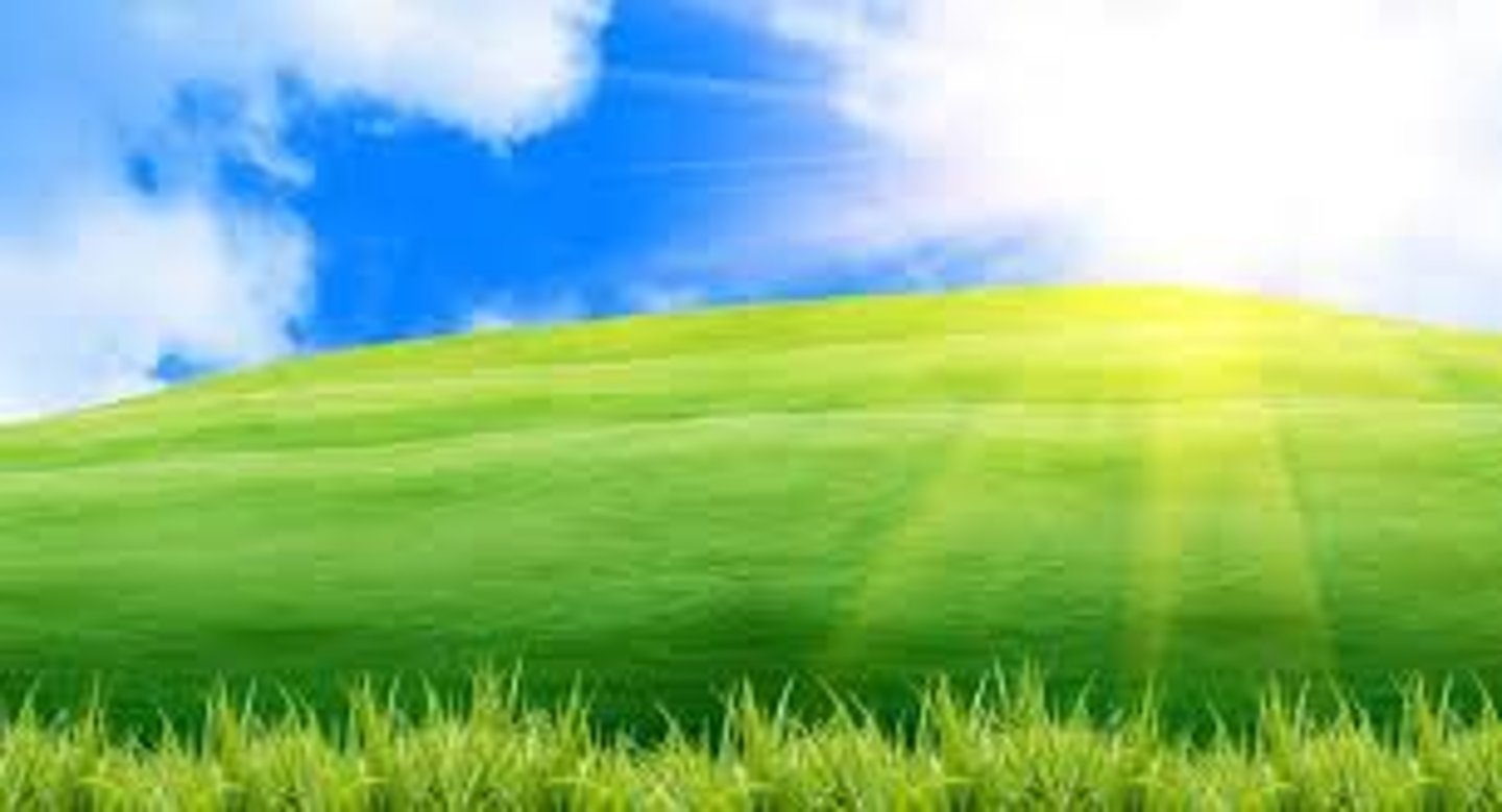 <p>it's sunny out</p>