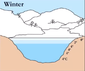 <p>in winter, why does 0 go at the top?</p><p>why does 4 go on the bottom?</p>