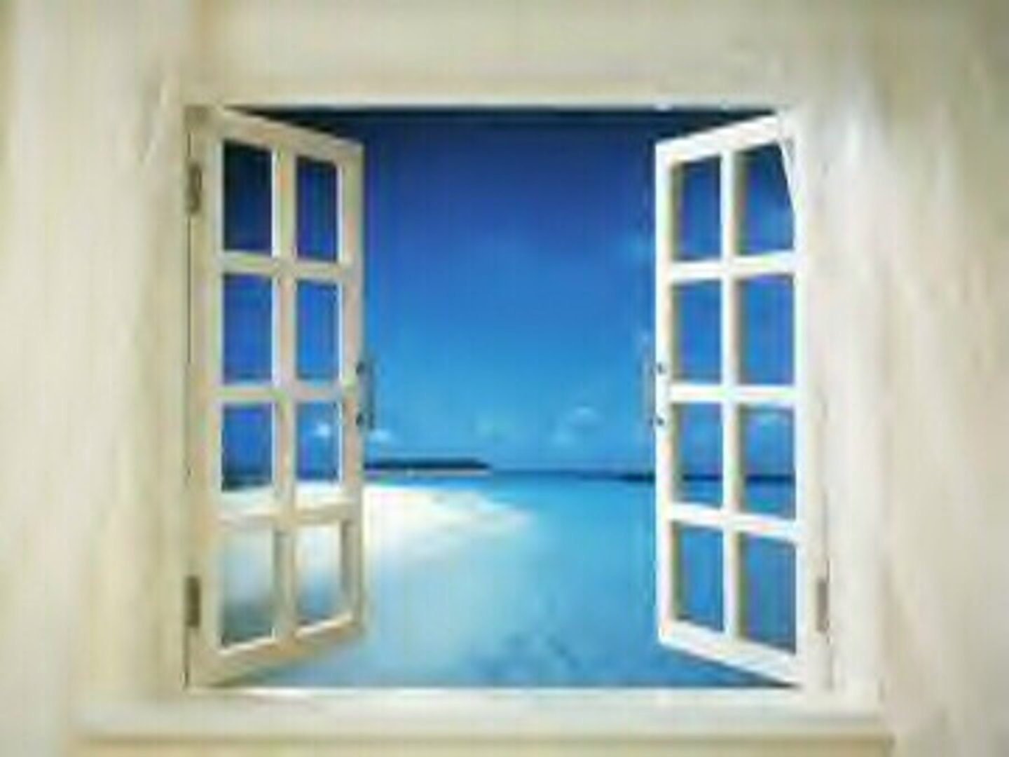 <p>window</p>