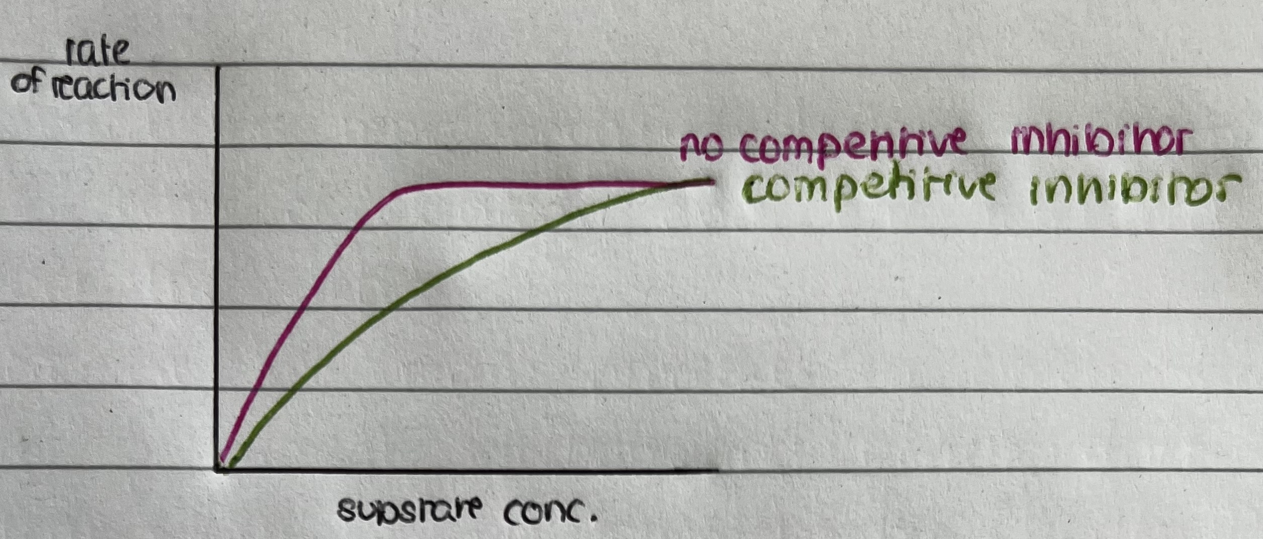 <p>Increasing the rate of substrate concentration decreases the effect of the competitive inhibitor</p>