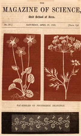 term image