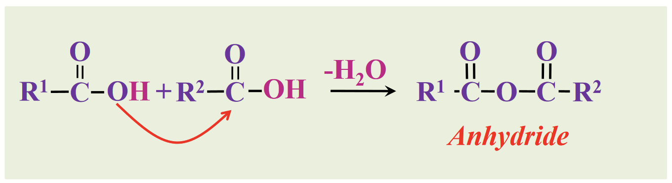 <p><strong><u>Derivatives of fatty acids (fatty acids are also carboxylic acids):</u></strong></p><p>Carboxylic acids can combine with acids to form…</p>
