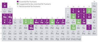 <p>A chemical element required for an organism to survive, grow, and reproduce.</p>