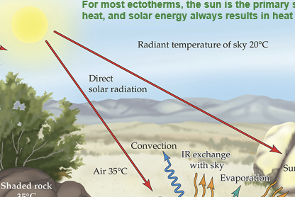 <p>Solar energy resulting in heat gain</p>