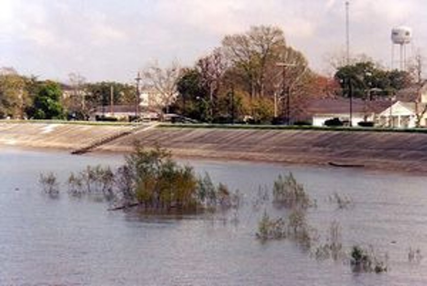 <p>pedestrian path, stop erosion, stop flooding, habitats for plants and animals</p>