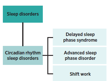 <ul><li><p>Delayed Sleep Phase Syndrome (DSPS)</p></li><li><p>Advanced Sleep Phase Disorder (ASPD)</p></li><li><p>Shift work disorder</p></li></ul><p></p>