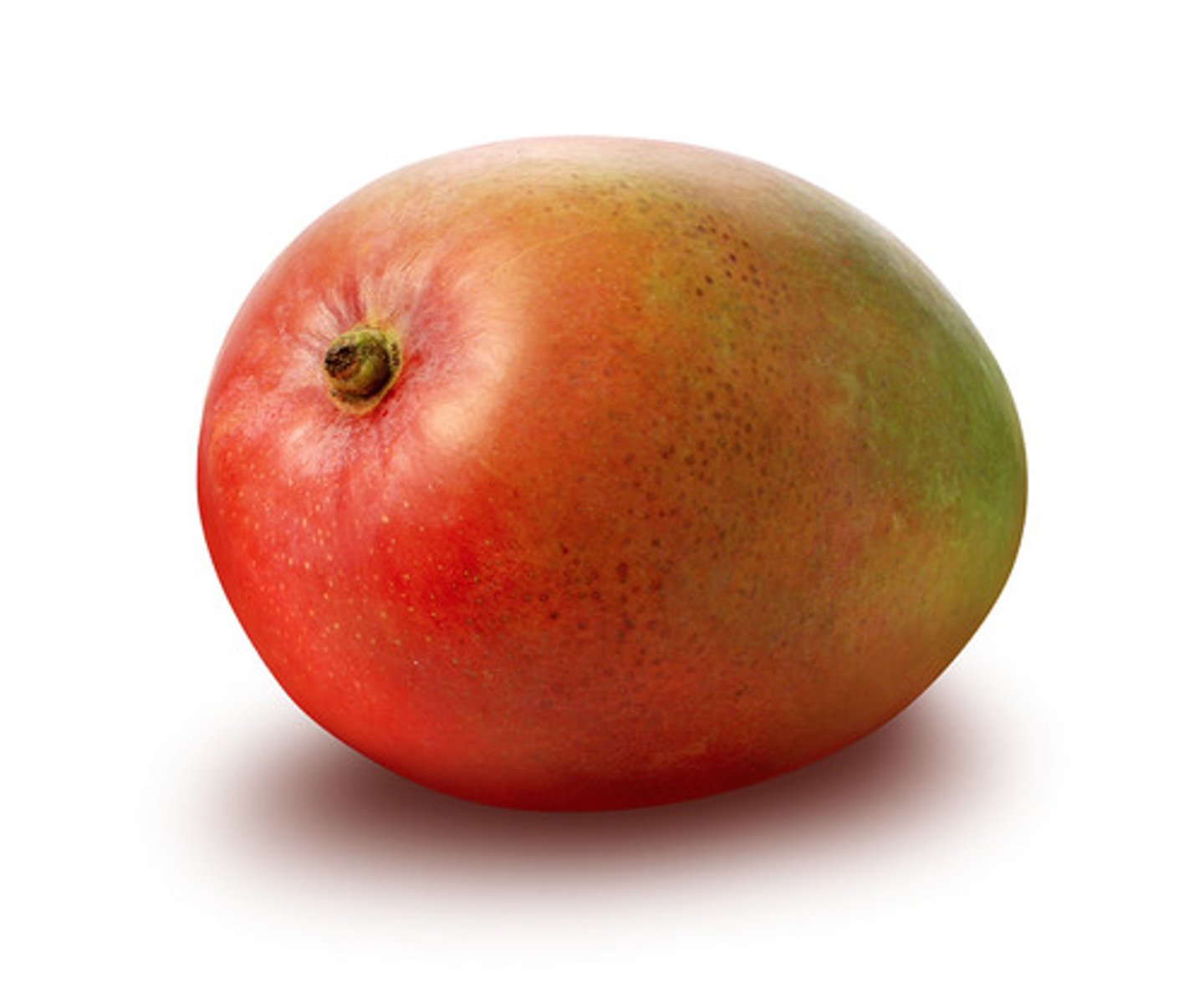 <p>MANGO</p>