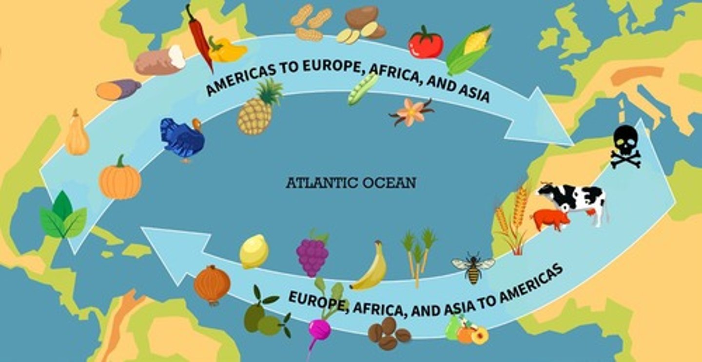 <p>Contact among Europeans, Native Americans, and Africans resulted in the Columbian Exchange and significant social, cultural, and political changes on both sides of the Atlantic Ocean.</p>