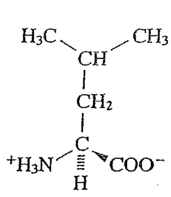 <p>Name</p><p>nickname</p><p>Type</p><p>Located where?</p><p>pka of side chain</p><p>type of side chain (OH,SH,NH?)</p><p>charge progression (0→-1,+1→0)</p>