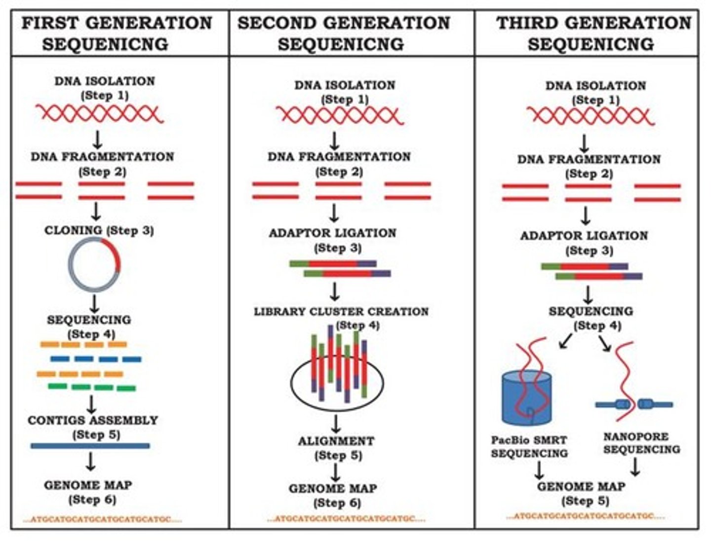 <p>Chain Termination PCR includes dideoxynucleotides that cause chain termination during DNA synthesis.</p>