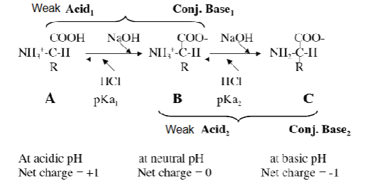 <p>Since Glycine is non-ionizable the reaction will look like this</p>