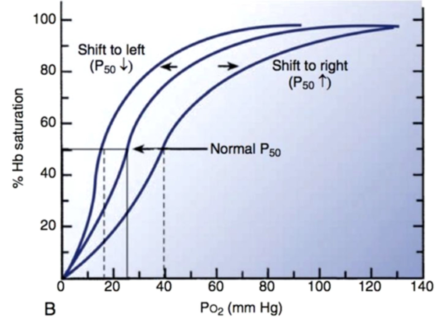 <p>The amount of oxygen needed to saturate 50% of hemoglobin</p>