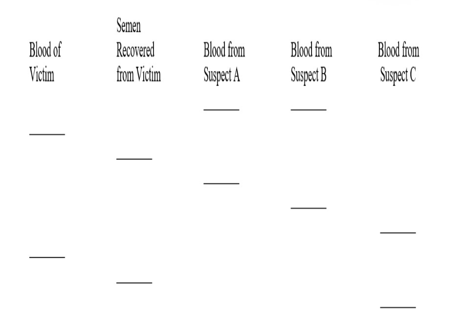 <p>Use the DNA RFLP pattern of evidence froma rape investigation to answer the following question.The evidence suggests which suspect raped the victim?</p>