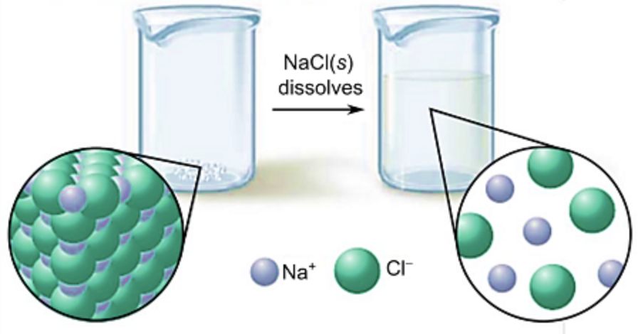 <p><span><span>what happens to Na⁺ and Cl⁻ ions when NaCl dissolves in water?</span></span></p>
