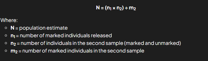 <ol><li><p>Known number of animals are randomly caught</p></li><li><p>Ensure marking is not harmful of fish / does not affect survival of fish</p></li><li><p>After some time, new sample collected randomly</p></li><li><p>Size of population is calculated using formula (attached)</p></li></ol><p></p>